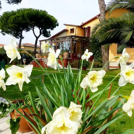 Acero Marina Di Carrara