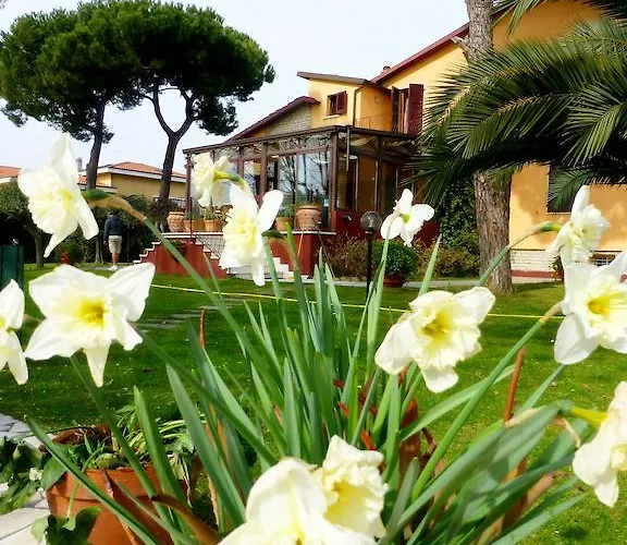 Acero Marina Di Carrara