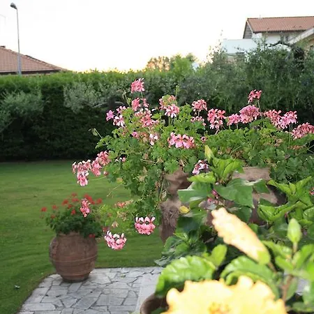 Guest house Acero